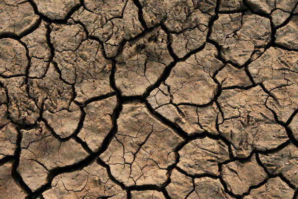 土壌が割れました。乾季の地球 - 写真・画像