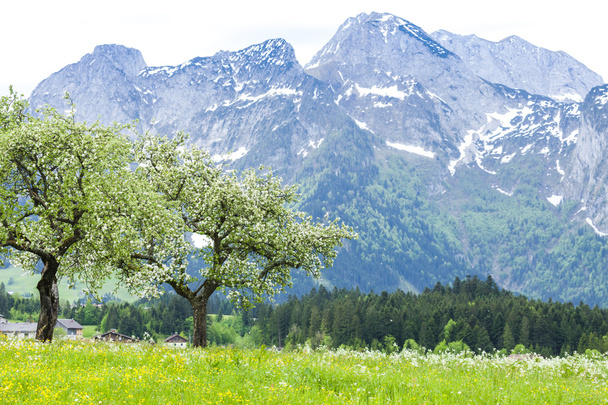 Avusturya Alpleri - Fotoğraf, Görsel
