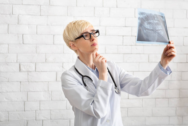Médico femenino adulto concentrado en gafas y abrigo blanco mira la mandíbula de rayos X sobre fondo de pared de ladrillo blanco - Foto, imagen