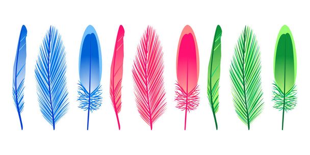 Set de colección de silueta de color pluma de pájaro Vector Ilustración - Vector, imagen