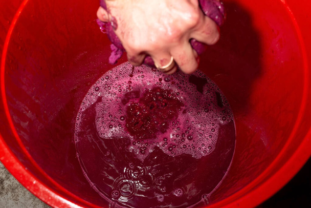 de druiven met je handen door de kaasdoek te persen, over een emmer. Wijn maken thuis Close-up beeld van rode wijn puree in de handen van een wijnmaker op een wijnboerderij - Foto, afbeelding