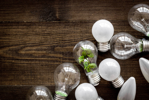 Light bulb with green grass - renewable energy eco concept - Valokuva, kuva