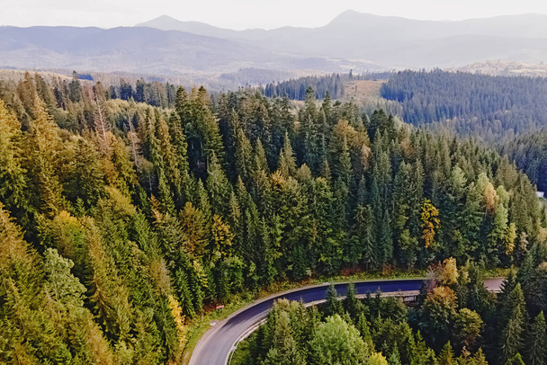 Çam ormanının içinden geçen kıvrımlı dağ yolunun havadan görünüşü. - Fotoğraf, Görsel