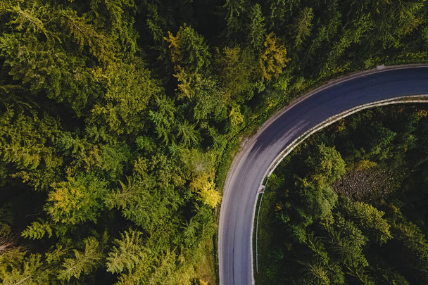 Aerial top view of curvy mountain road going through the pine forest. - Foto, imagen