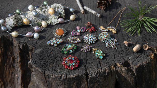 Vintage maravillosos broches brillantes multicolores y collar de perlas naturales se encuentran en el tocón agrietado oscuro. La composición fue creada en el bosque. - Foto, imagen