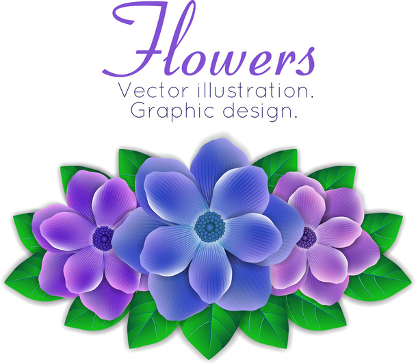 Flores azules y moradas con hojas
 - Vector, Imagen