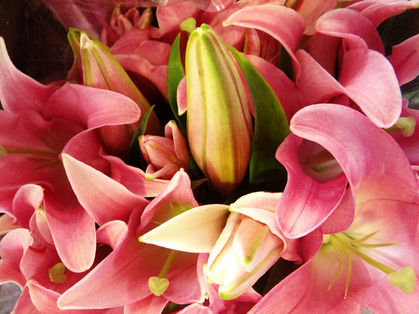 A closeup shot of a bouquet of blooming flowers - Foto, imagen