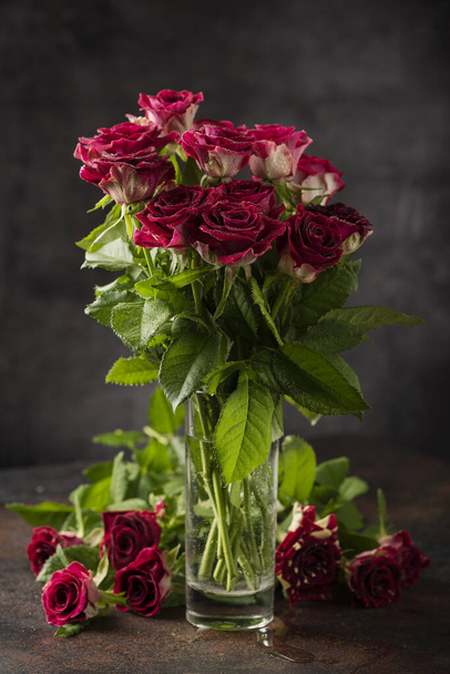 Red wild roses on the dark background, selective focus image - Fotó, kép