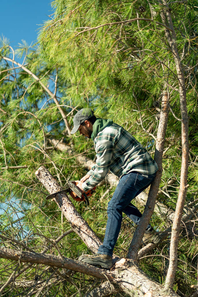 A vertical shot of a young Caucasian man cutting a tree trunk with a chainsaw - Fotó, kép