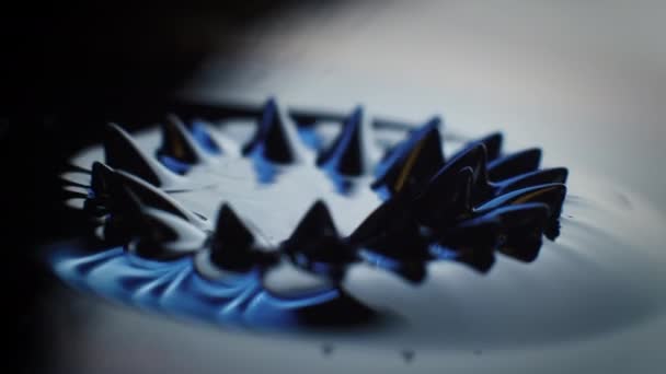 Pulsante Ferrofluido in movimento come forze magnetiche cambiano la sua forma. Oscura e artistica. Risoluzione 4K. Rallentatore. - Filmati, video