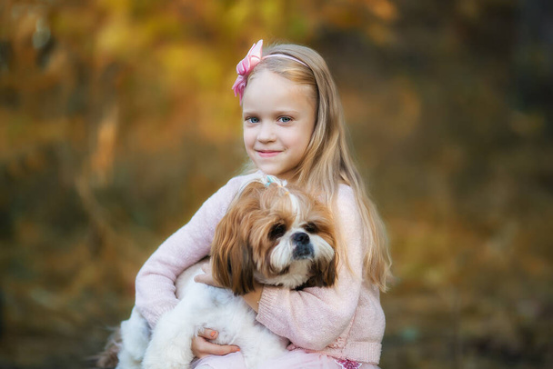 A cute girl hugs a Shih Tzu dog in the autumn forest. A girl walks with a dog in an autumn park. - Foto, immagini