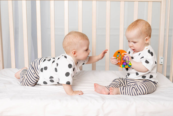 два близнеца младенца 8 месяцев играть в кроватке, раннее развитие детей до года, концепция отношений детей брата и сестры, ребенок берет игрушку от другого - Фото, изображение