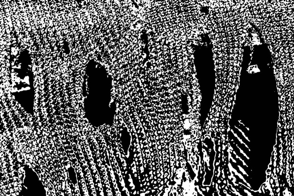 abstrakti grunge tausta koko runko  - Valokuva, kuva