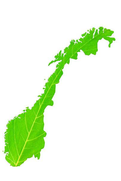 Mapa Norska v zelené listové textuře na bílém izolovaném pozadí. Ekologie, klimatická koncepce - Fotografie, Obrázek