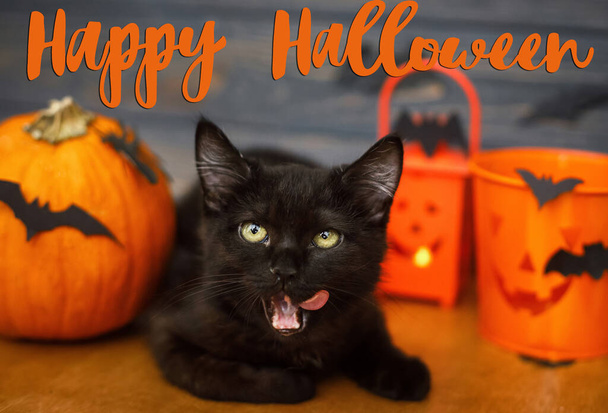 Happy Halloween tekst na czarny zły kot pyszne lizanie na tle dyni, nietoperze, Jack o wiadro cukierków latarnia, świętując Halloween w domu. Odręczny znak, sezonowa kartka okolicznościowa - Zdjęcie, obraz