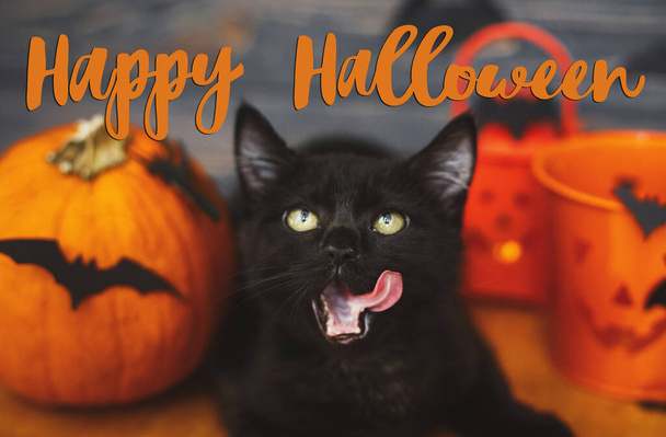 Happy Halloween text on black evil cat delicious licking on background of pumpkin, bats, jack o lantern candy bucket, celebrating halloween at home. Handwritten sign, seasonal greeting card - Zdjęcie, obraz