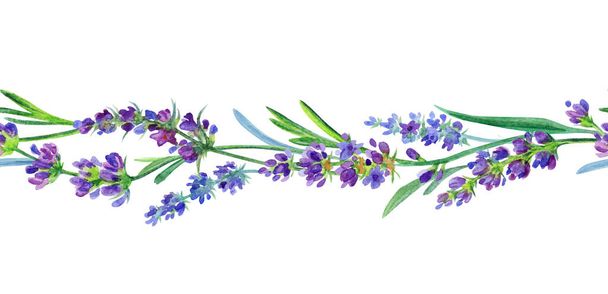 Lavender border, watercolor illustration on white background, isolated, print for textiles, home furnishings and other designs. - Фото, зображення
