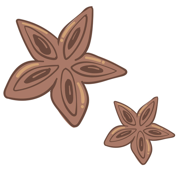 Aromatic anise spice for baking and cooking dishes. Isolated icon of ingredient in form of stars. Fragrant condiment and addition to food, culinary recipes and exotic flavoring, vector in flat - Vektör, Görsel