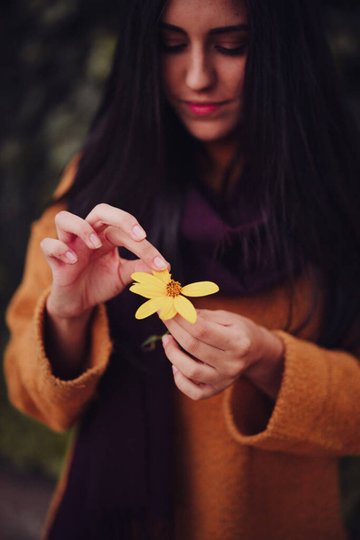 Молодая женщина собирает желтые лепестки цветов в поле - Фото, изображение