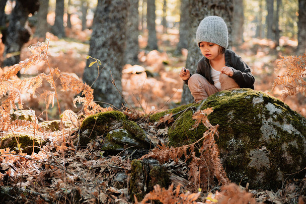 Kleines Mädchen im herbstlichen Wald zwischen Farnen - Foto, Bild