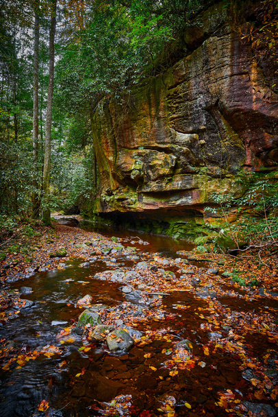 Велика скеляста скеля вздовж Flat Lick Creek поблизу Gray Hawk, Kentucky. - Фото, зображення