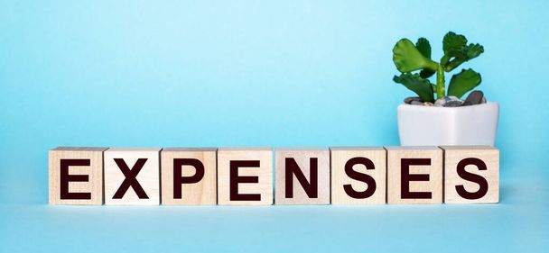 The word EXPENSES is written on wooden cubes near a flower in a pot on a light blue background - Foto, Bild