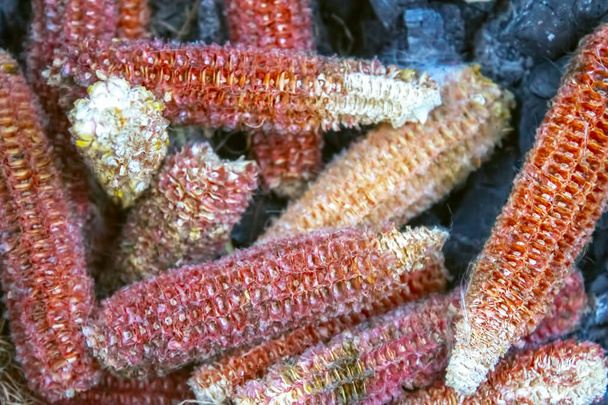 Empty corn cob without kernels corns - Photo, Image