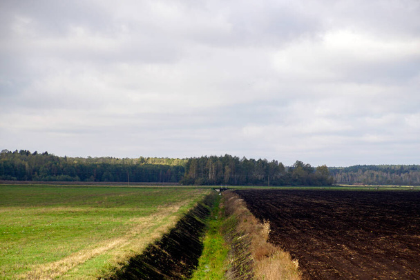   Осенний пейзаж. Канал мелиорации делит поле на вспаханное и зеленое. Лес на горизонте. Горизонтальный выстрел. Красивый вид                              - Фото, изображение