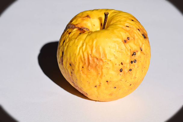 Manzana amarilla arrugada primer plano sobre un fondo claro, concepto de envejecimiento. - Foto, imagen