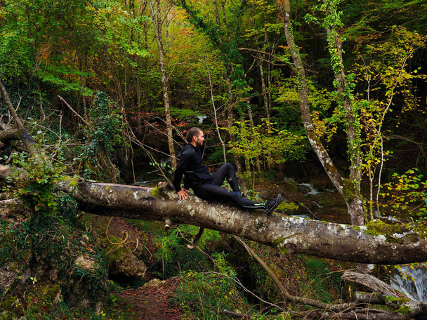 joven sentado en un tronco de árbol en el bosque - Foto, imagen