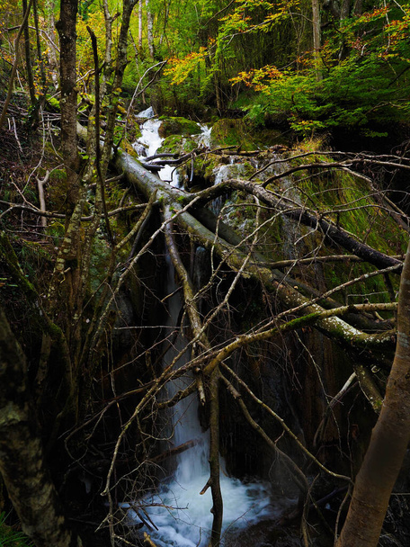 Waterfall in the forest of Andoin - Photo, Image