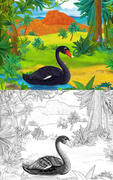 Sarjakuva kohtaus luonnos musta joutsen lintu mantereella kartta - kuva lapsille - Valokuva, kuva