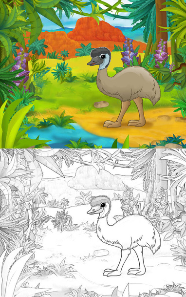 Cartoon scene with sketch emu bird with continent map - illustration for children - 写真・画像