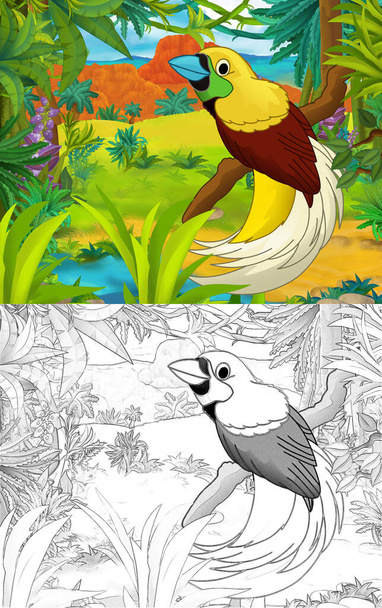 Cartoon scene with sketch paradise bird with continent map - illustration for children - Fotoğraf, Görsel