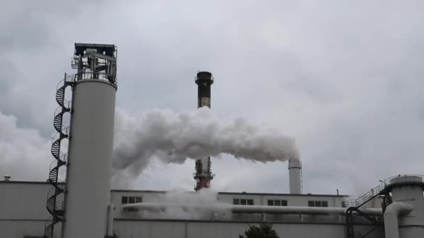 砂糖工場の煙突から煙と蒸気が発生します。ポーランドのグライノジェク - 映像、動画