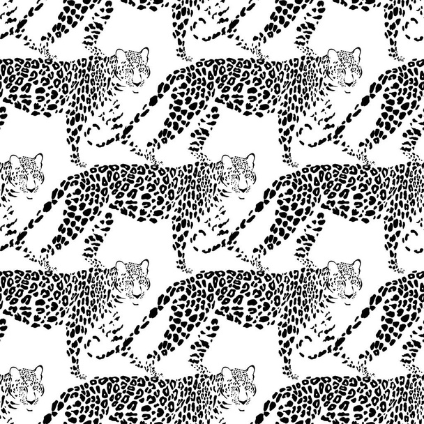 Leopards on white. Animal art background. Vector. Monochrome. - Vecteur, image