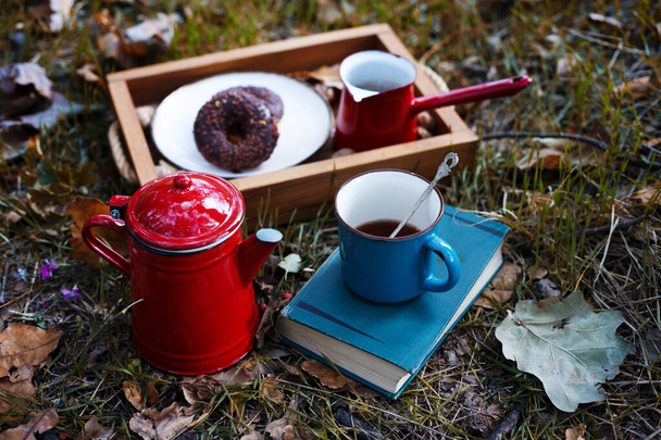 picnic in the forest. tea and donuts. fall and rela - Photo, image