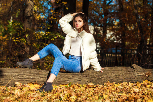 Full body portrait of a young beautiful brunette girl in blue jeans, autumn park outdoor - Fotoğraf, Görsel