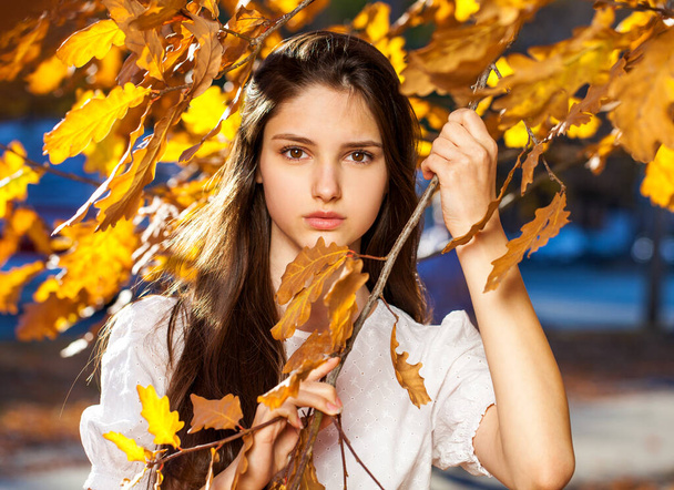 Autumn portrait of a young girl in oak leaves - Фото, зображення