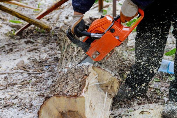 Empresas de servicios públicos profesionales de la ciudad cortan un gran árbol en la ciudad después de una tormenta de huracanes dañan árboles una tormenta - Foto, Imagen