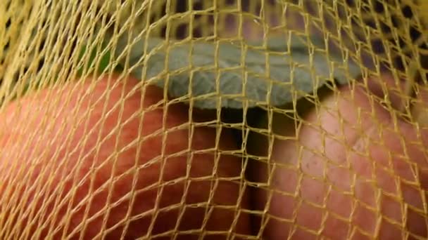 Äpfel im Netzbeutel - Filmmaterial, Video
