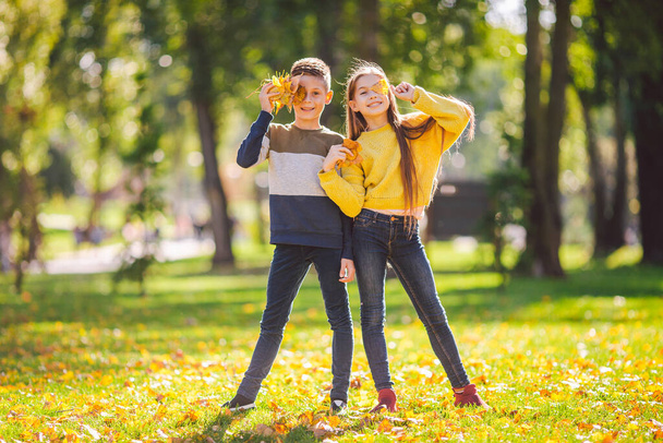 Happy Caucasian siblings enjoying in autumn day in park, sunny weather. Kids having fun holding fallen yellow leaves in nature. Funny twins in autumn park. Autumnal mood. Teenagers posing embracing. - Фото, изображение