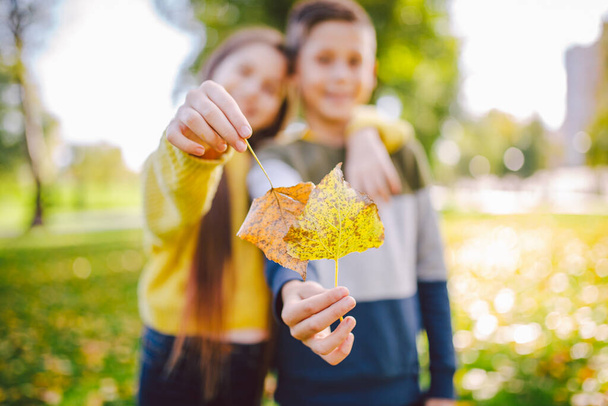Onnelliset kaksoset teini-ikäiset poika ja tyttö poseeraavat halaten toisiaan syksyllä puistossa pitäen kaatuneita keltaisia lehtiä kädessä aurinkoisella säällä. Syksyn teema. Veli ja sisko hauskaa leikkii lehdet. - Valokuva, kuva