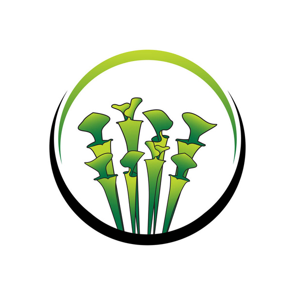 groene vleesetende Sarracenia plant logo template 02 - Vector, afbeelding