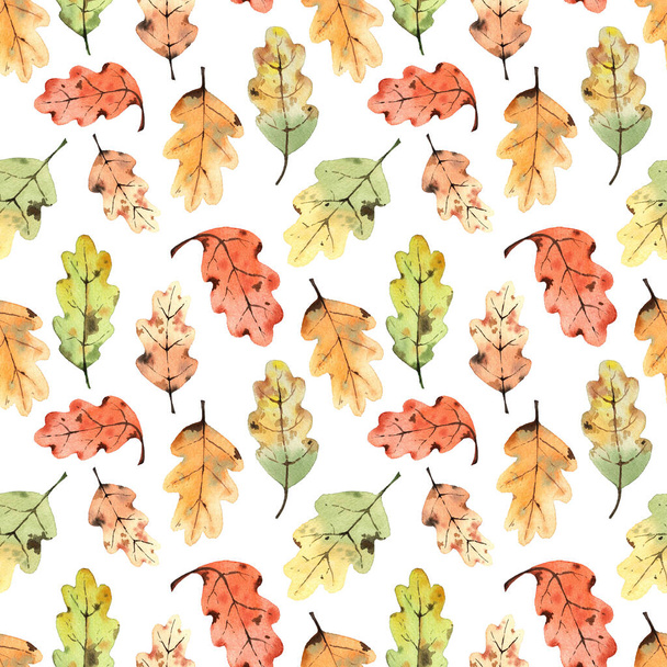 Pattern with watercolor oak leaves. On a white background - Zdjęcie, obraz