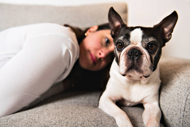 Woman with is Boston Terrier on the living room - Foto, immagini