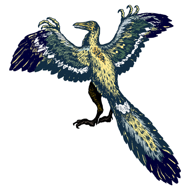 Archaeopteryx - Vektor, kép
