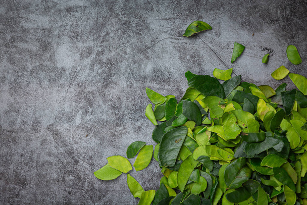 fresh bergamot leaves on dark floor - Photo, Image