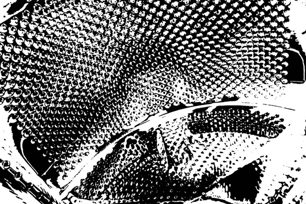 abstrakte Grunge Hintergrund Vollbild  - Foto, Bild
