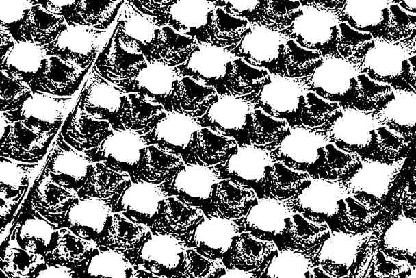 Fondo texturizado abstracto. Imagen incluyendo efecto de tonos en blanco y negro. - Foto, Imagen
